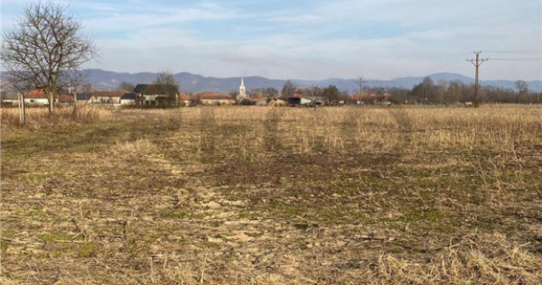 RECO Teren in Topa de Cris 7560mp aproape de E60