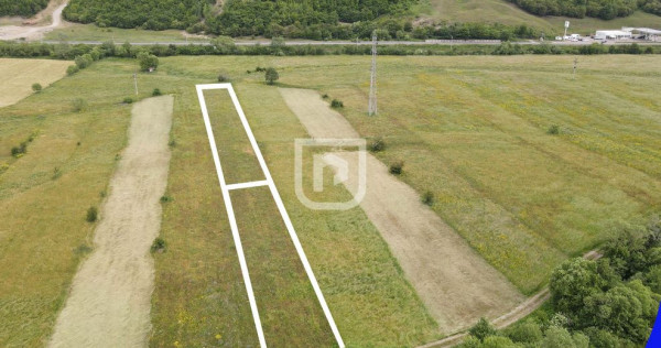 Teren Voroneț | Gura Humorului | Suceava - Bucovina - 28...