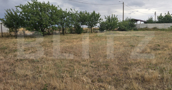 Teren intravilan 762 mp in Carcea