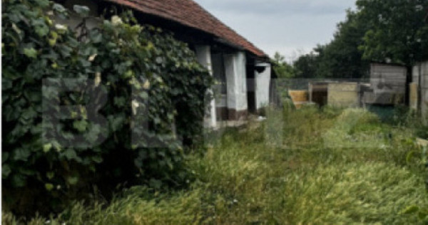 Teren 22ari &icirc;n Martinesti
