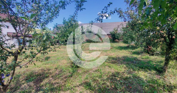 Teren intravilan Sura Mare - 578 Mp - PUZ aprobat si toate u