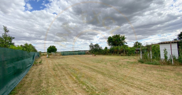 Teren intravilan 1412 mp, Ciofliceni – Ilfov