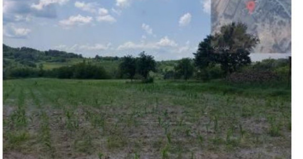 Teren extravilan, loc. Bustuchin, Jud Gorj