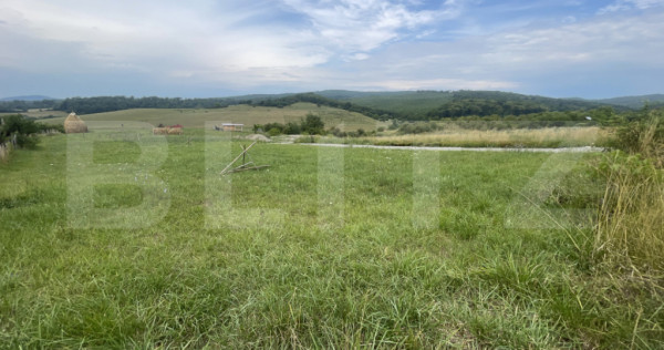 Teren de vânzare – zonă Subcetate, aproape de str. Tărp