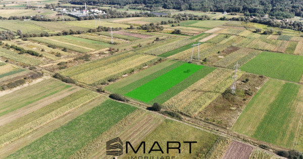 Teren extravilan de v&acirc;nzare &ndash;5000 mp, Șelimbăr (Mohu)