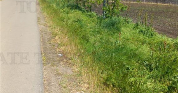 Teren Stanesti - Judetul Giurgiu, intravilan, drum asfaltat,