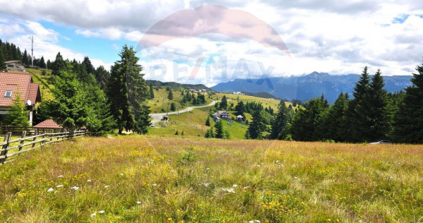 Teren de vis în Fundata 1934mp sau 3868mp, la înălțim...