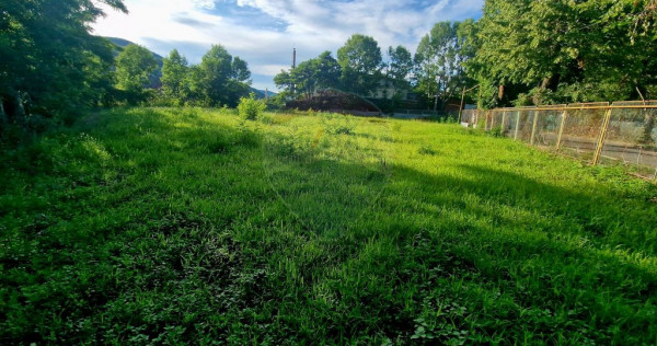 Teren 1,749mp Piatra-Neamt / Strada Zambilelor