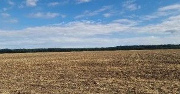 Teren extravilan Branesti, ID: R2649181