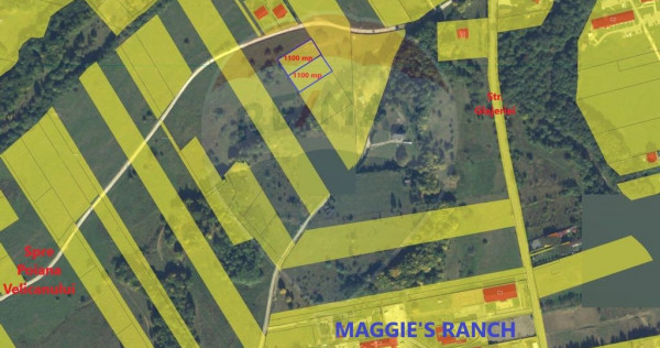 Teren extravilan Rasnov , Glajerie-Str Poiana velicanului...