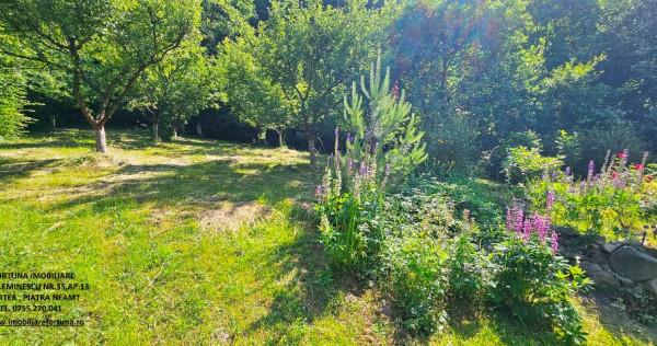 Proprietate la 5 km de oras - Vila P+1 + 5600 mp teren