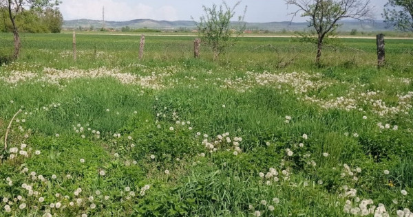 Teren intravilan Tilecuș 807mp