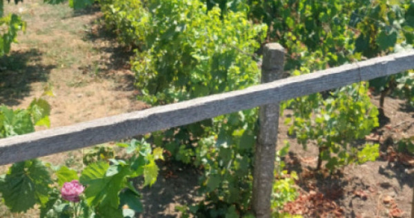 Casă situată în zona Cobadin, COMISION 0%