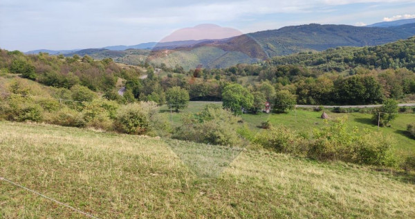 Teren intravilan constructii 1500 mp Damis Bratca drum DJ...