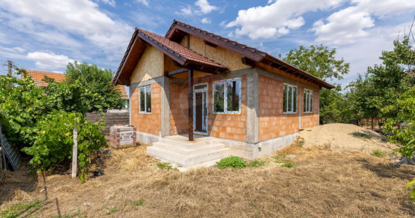 Casă cu 3 camere la rosu, in Vladimirescu de vanzare
