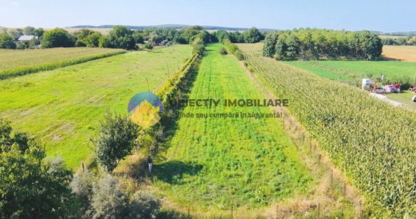 TEREN intravilan 6764 mp DRAGOMIRESTI - VAD