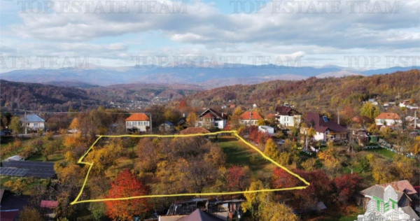Teren intravilan Campulung – 2.957 mp cu livada, anexa ...