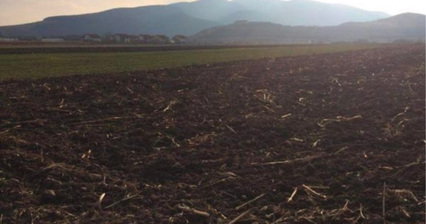 Teren in Sard 3000mp