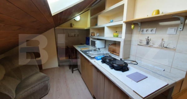 Apartament la casa,1 camera, 30 mp, zona strazii Artelor