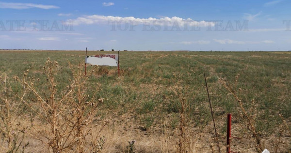 Teren zona Next Dovinot, Mihailesti DN6 5619mp D - 41.50m