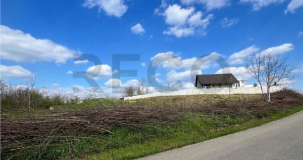 RECO teren de in zona Paleu