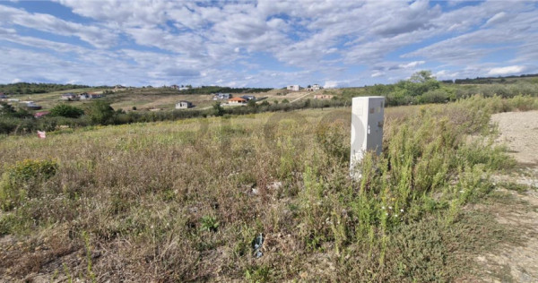 RECO Teren intravilan in Saldabagiu de Munte