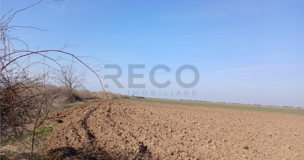 RECO Teren intravilan aproape de zona industriala Biharia