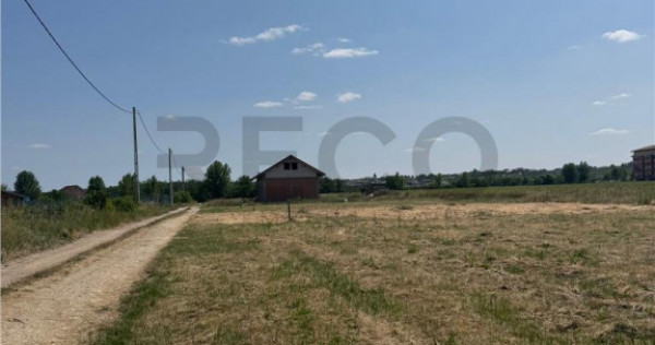 RECO teren în Paleu