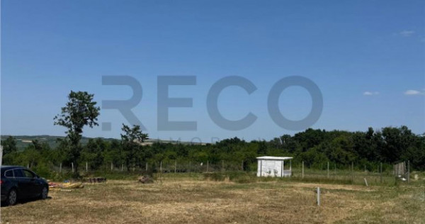 RECO teren în zona Paleu