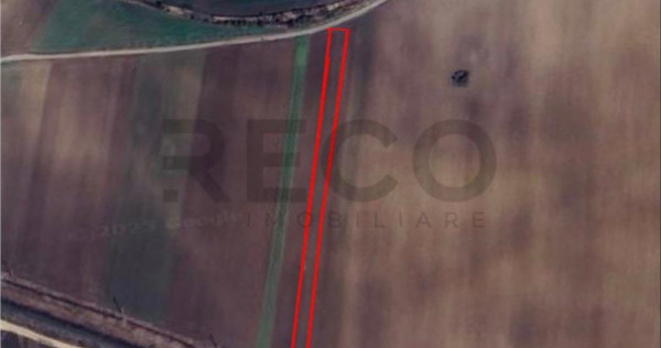 RECO Teren extravilan 2700mp Bors