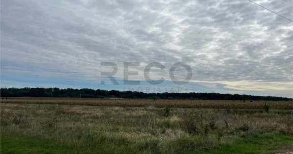 RECO Teren intravilan zona BEVERLY HILLS