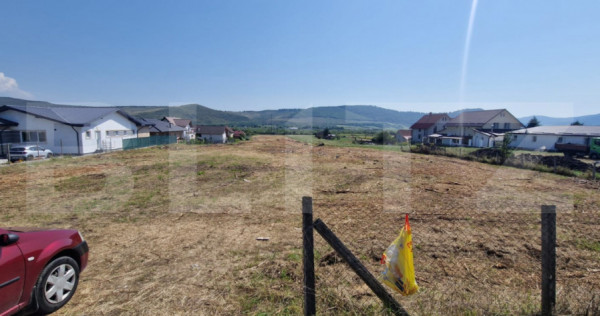 Teren intravilan 1 Ha si 42 Ari, zona Viisoara