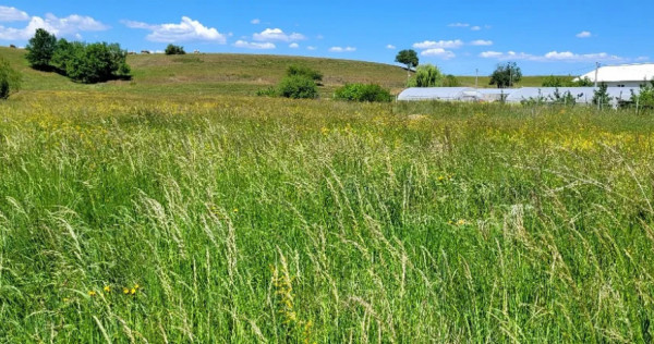 Teren Intravilan Podul Olt