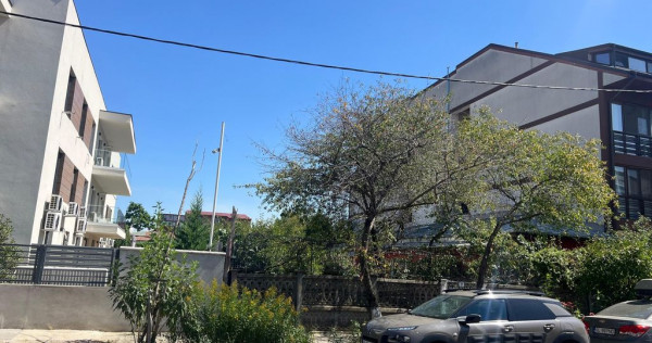 Teren str Renasterii Chitila