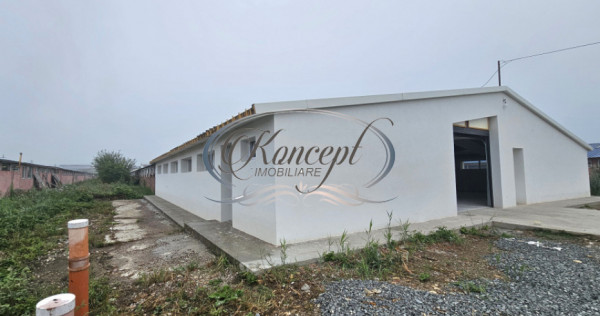 Hala la prima inchiriere, izolata termic, disponibila imedia