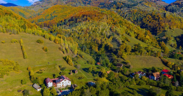 COMISION 0% Teren 11,381 mp Moieciu de Jos / Oportunitate...