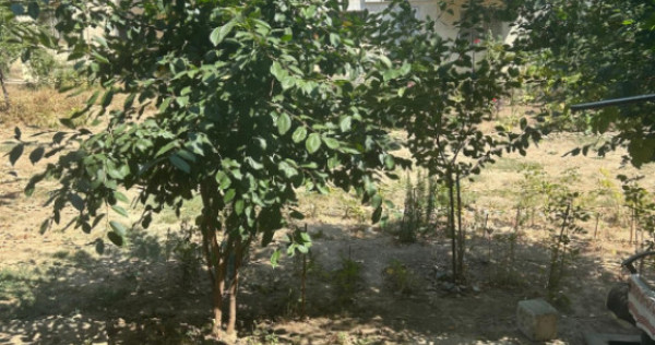 Apartament 2 camere zona Groapă