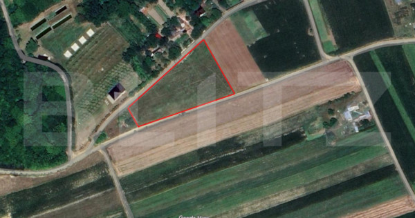 Teren extravilan de 3000 mp, zona Manastioara, Comuna Udesti