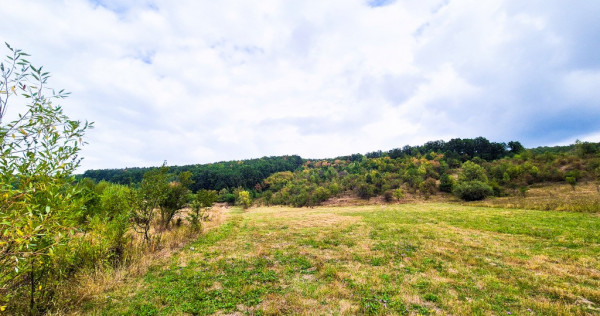Teren 1,4 hectare Draganu Arges