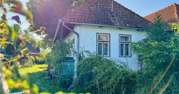 FILM! Proprietate traditionala,de poveste,cu 3.000 mp teren