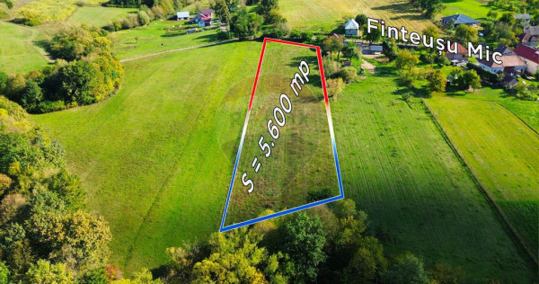 Teren 5,600mp Finteusu Mic / Strada Principala