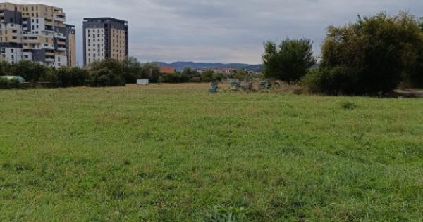Teren intravilan 8000 mp , DR.D.Vechi
