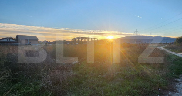 Teren extravilan, 4000 mp, zona Arex