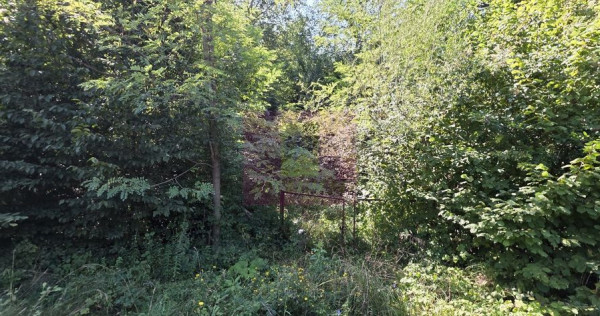 Teren intravilan de vanzare in Lunca Mare (la 10 km de Valea Doftanei)