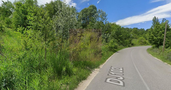 Teren intravilan de vanzare in Lunca Mare (la 10 km de Va...