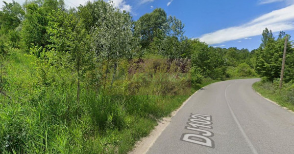 Teren intravilan de vanzare in Lunca Mare (la 10 km de Va...