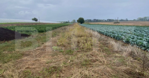 Teren de vanzare, 4700 mp, Strada Brazilor