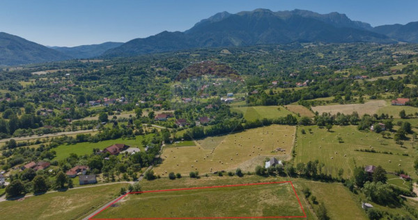 Teren Bran -Sohodol, Strada La mesteceni, 6900mp