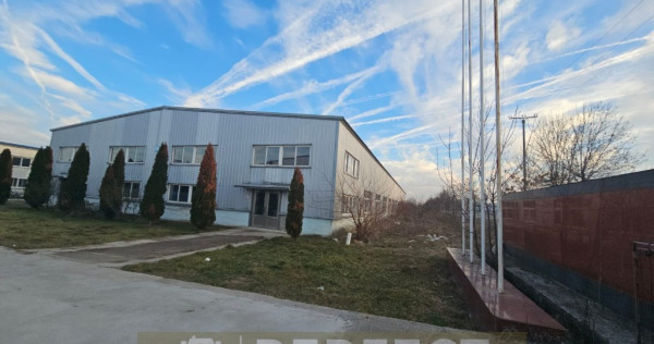 Hale industriale 2 x 1920mp DN1 de inchiriat la 3.9 euro/mp neg.