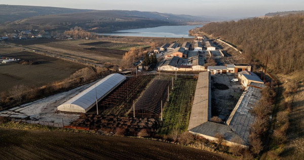 Fosta Ferma a Partidului de la Horgesti - de vanzare